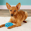 JW Pet Hol-ee Football Rubber Dog Toy, Color Varies - Petanada