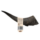 WAG Goat Horn Dog Chew
