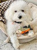 Tall Tails Baby Fish with Squeaker Plush Dog Toy