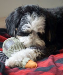 Tall Tails Duck with Squeaker Plush Dog Toy