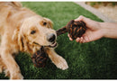 P.L.A.Y Barbell Rope Dog Toy