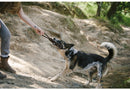 P.L.A.Y Pet Tug Rope Dog Toy