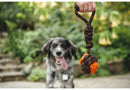 P.L.A.Y Tug Ball Rope in Canada