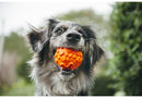 P.L.A.Y Novaflex Nova Ball Dog Toys