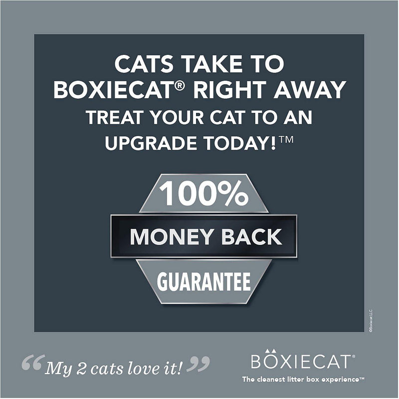 Boxicat BoxiePro Deep Clean Scent-free Probiotic Cat Litter - Petanada
