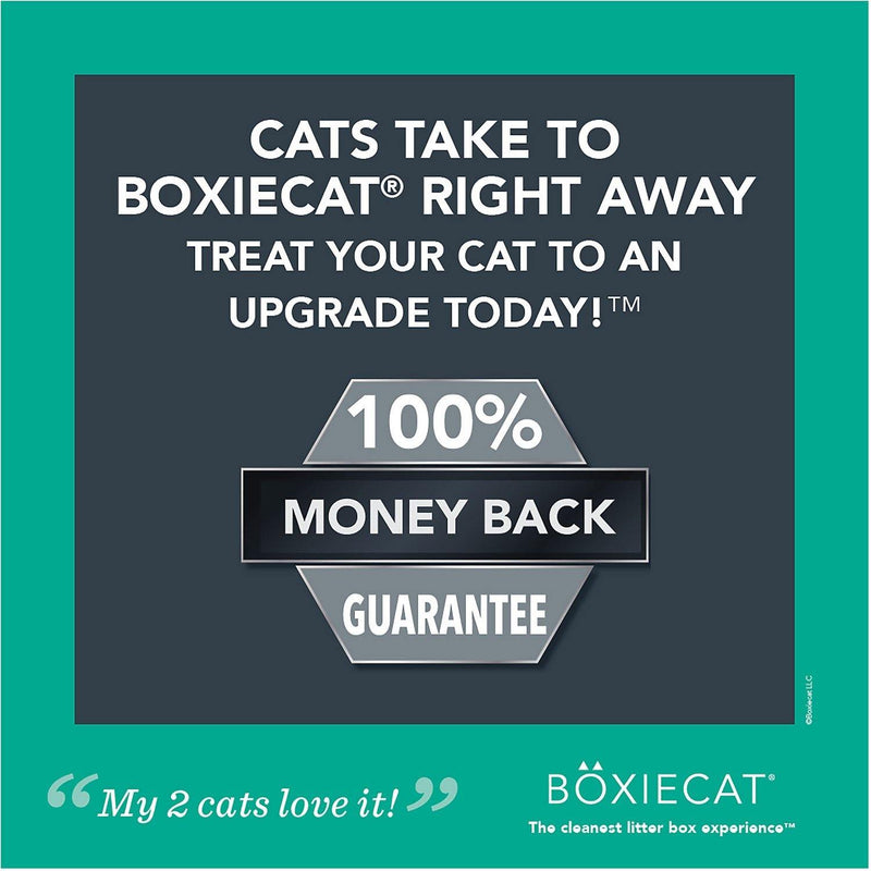 Boxiecat Gently Scented Premium Clumping Clay Cat Litter (28-lb bag) - Petanada