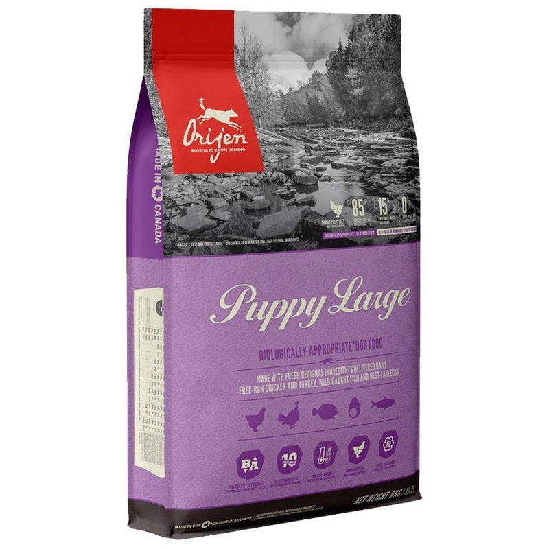 ORIJEN Puppy Large Grain-Free Dry Puppy Food (13 lb)