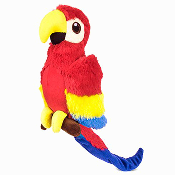 P.L.A.Y Pet parrot