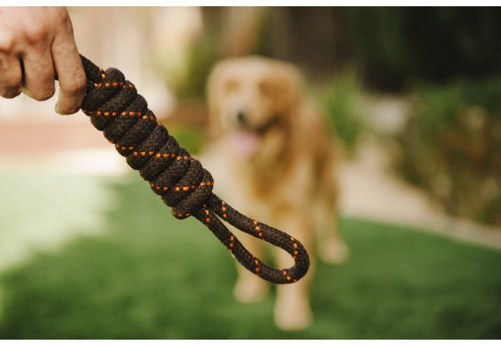 P.L.A.Y Pet Tug Rope Dog Toy